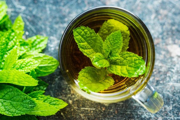 تصویر 3 از عرق نعنا یکتا عطر قوی طعم ملایم
